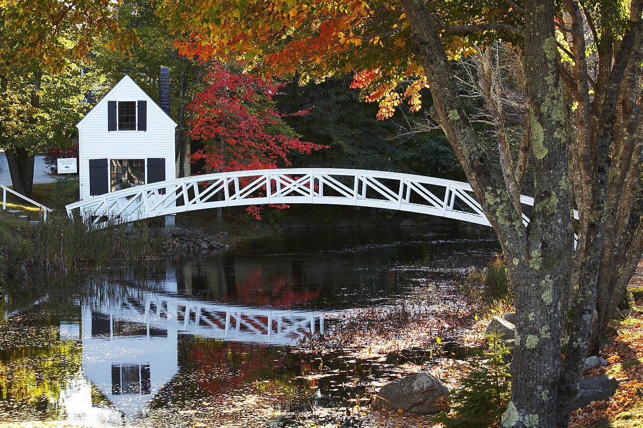#080299-1 - Cottage & Bridge in Autumn, Somesville, Maine, USA