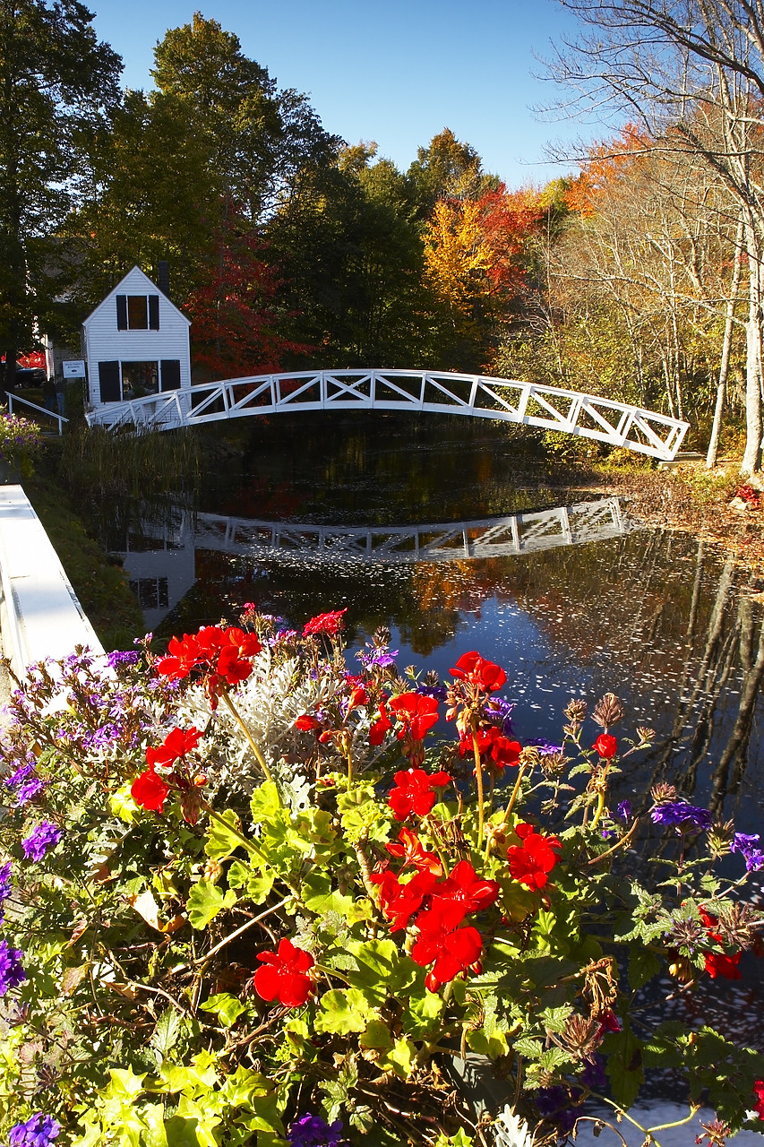 #080300-2 - Cottage & Bridge in Autumn, Somesville, Maine, USA