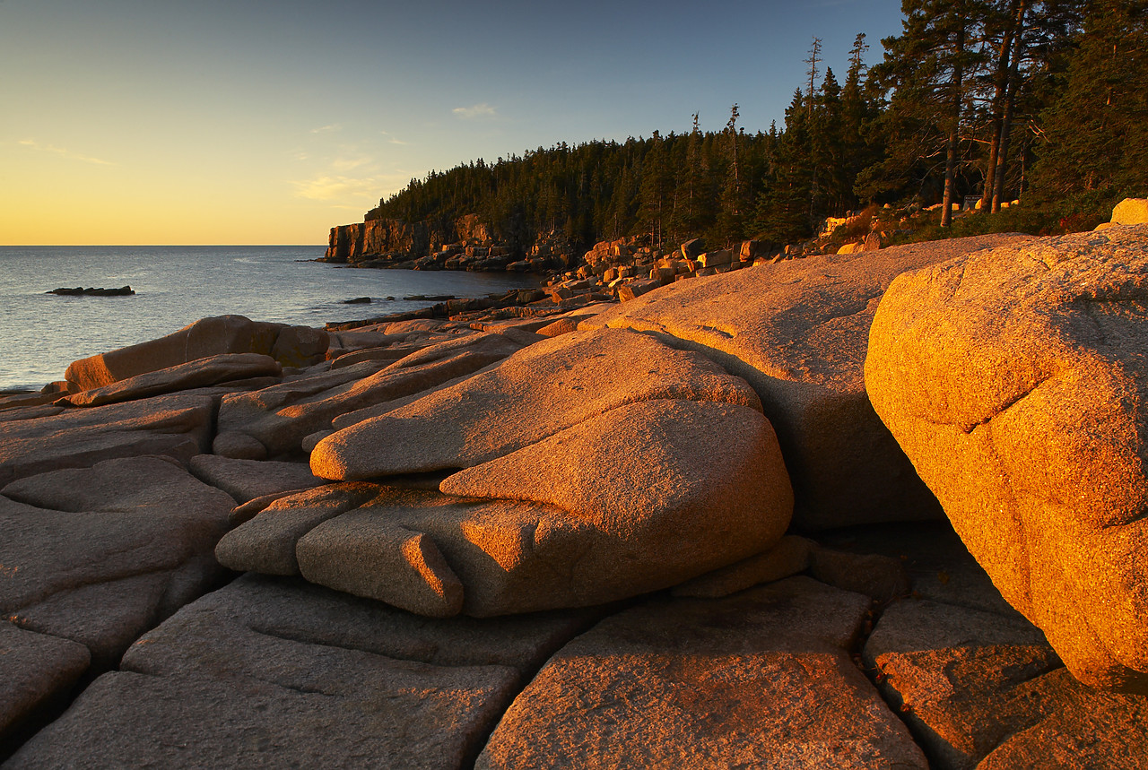 #080307-1 - The Otter Cliffs, Acadia National Park, Maine, USA