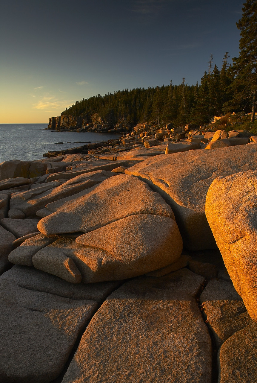 #080307-2 - The Otter Cliffs, Acadia National Park, Maine, USA