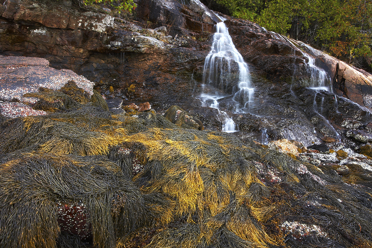 #080311-1 - Man-O-War Waterfall, Acadia National Park, Maine, USA