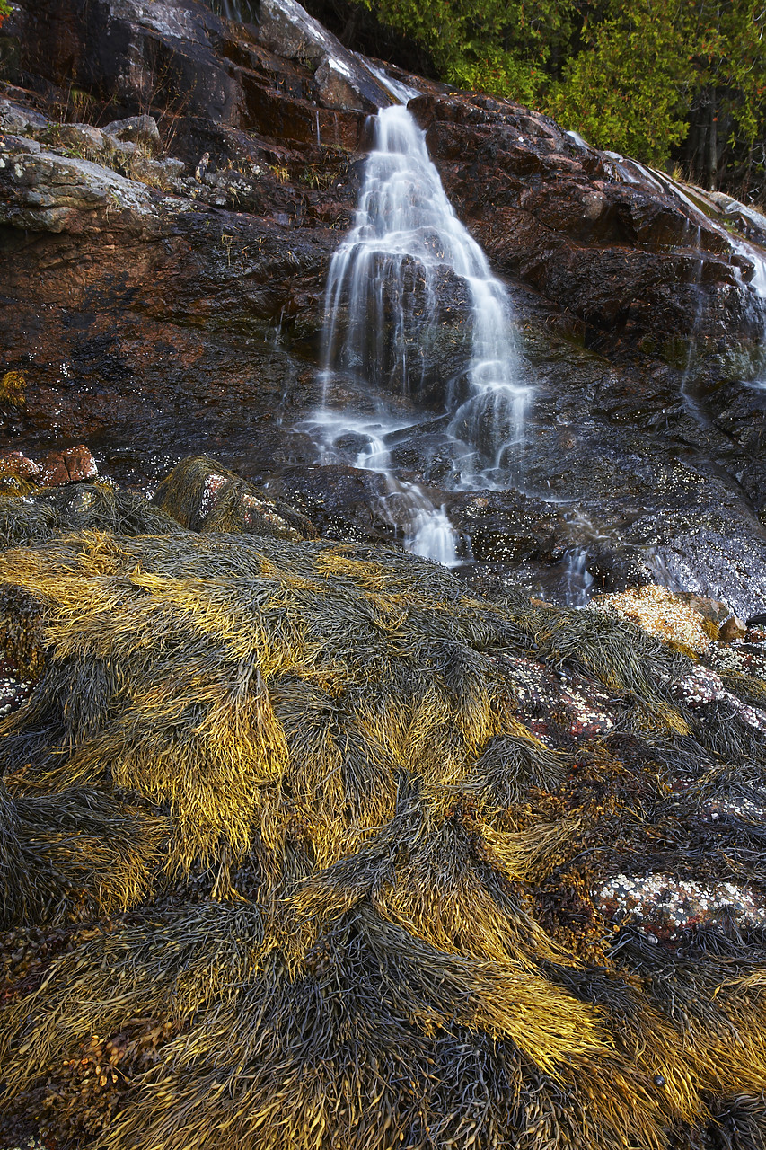 #080311-2 - Man-O-War Waterfall, Acadia National Park, Maine, USA