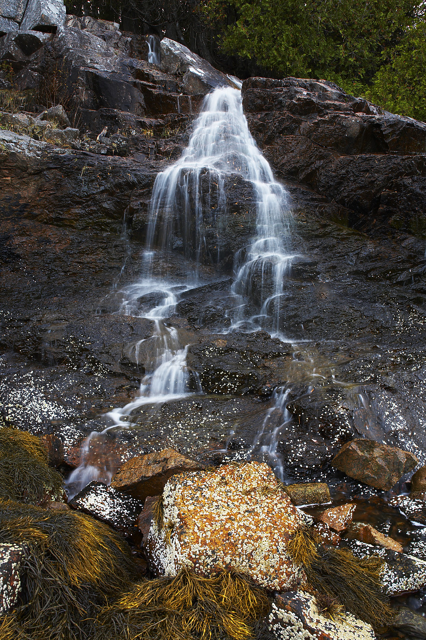 #080312-1 - Man-O-War Waterfall, Acadia National Park, Maine, USA