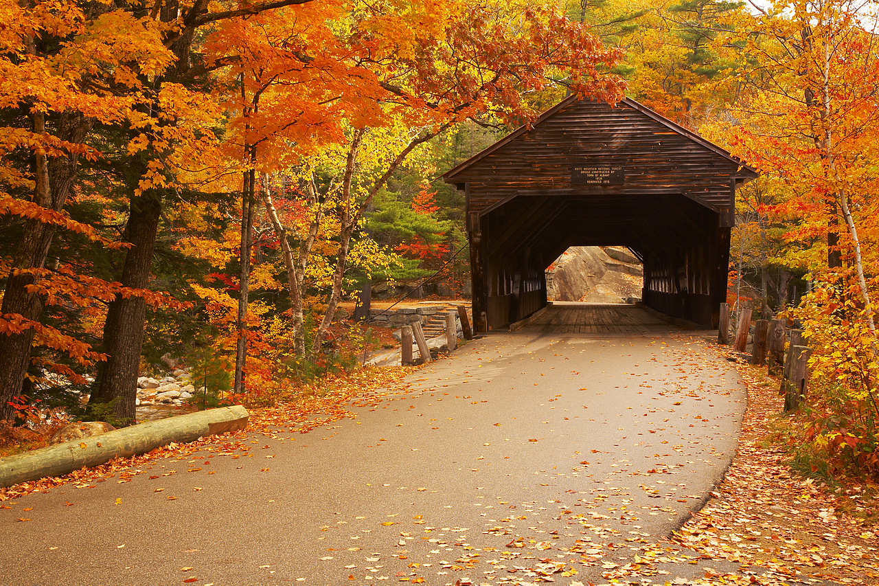 #080322-1 - Albany Covered Bridge in Autumn, White Mountains, New Hampshire, USA