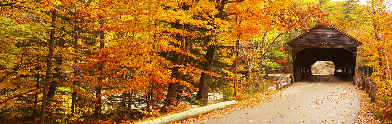 #080322-2 - Albany Covered Bridge in Autumn, White Mountains, New Hampshire, USA