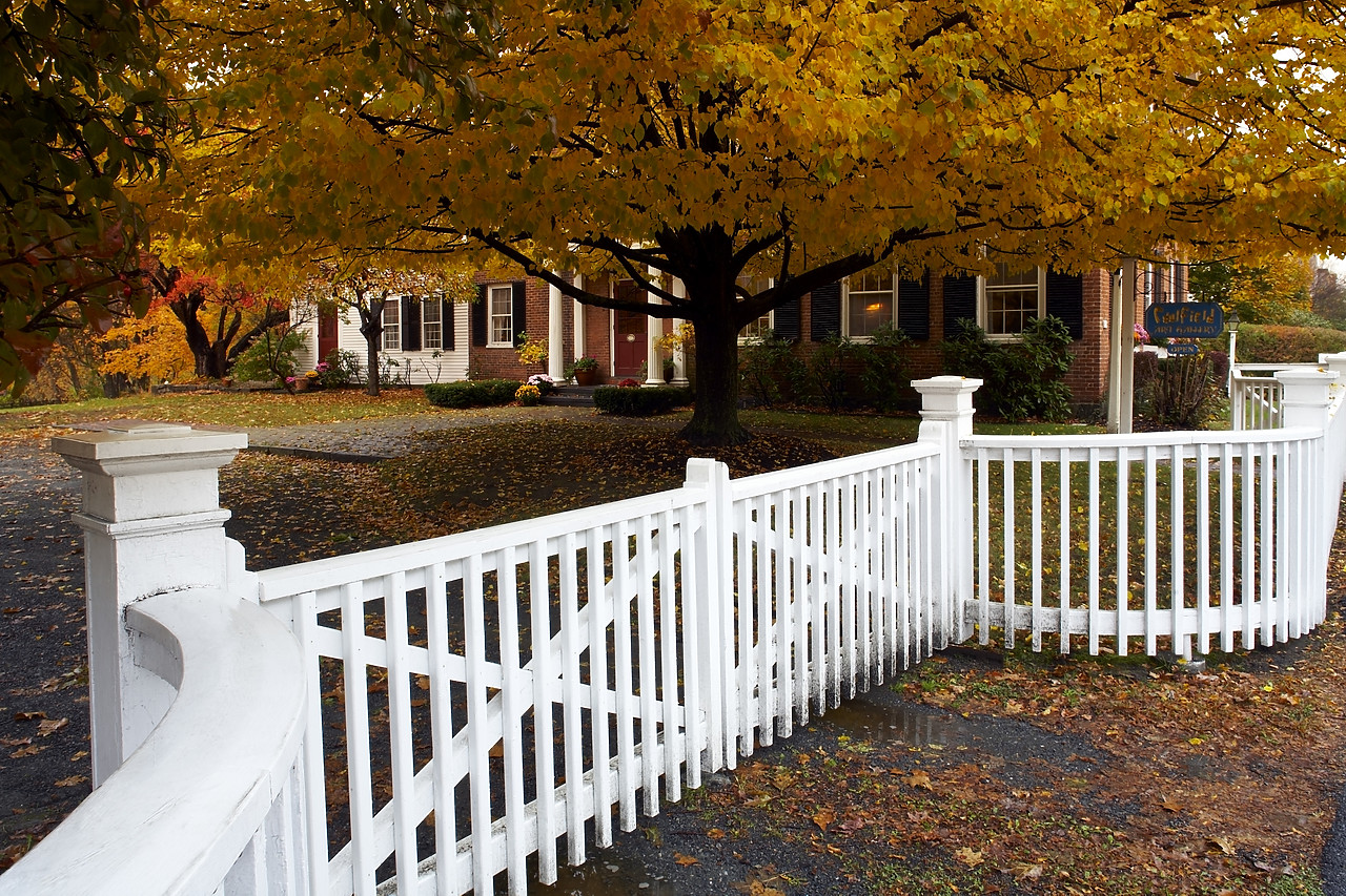 #080339-1 - White Picket Fence & Maple Tree in Autumn, Woodstock, Vermont, USA