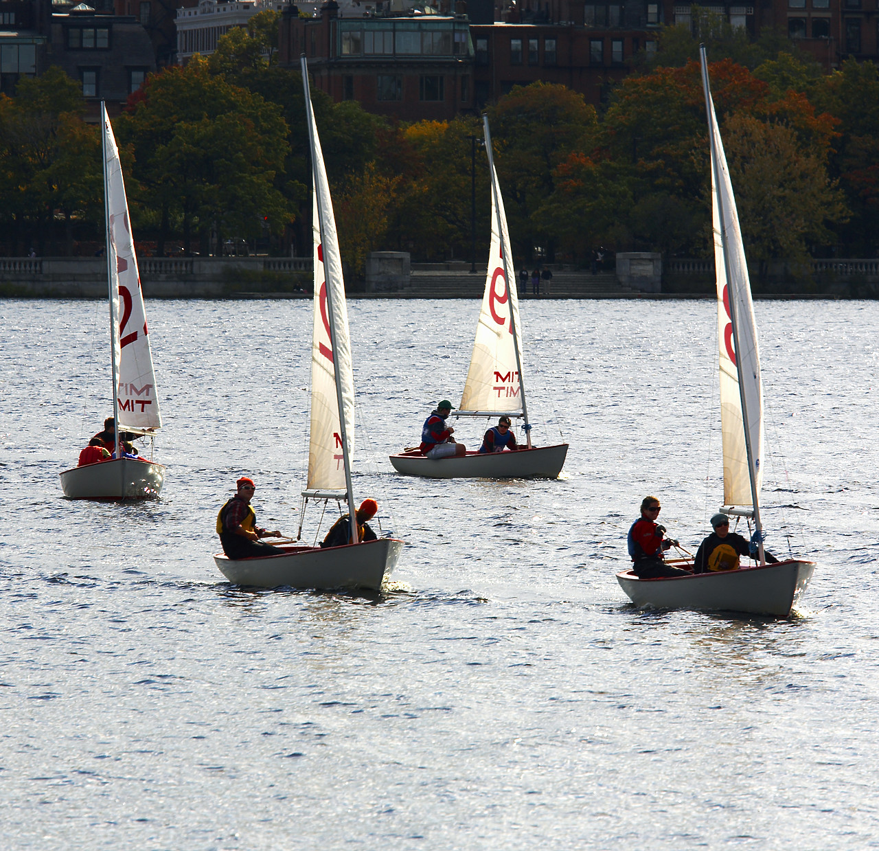 #080375-1 - Sailing on the Charles RIver, Boston, Massachusetts, USA