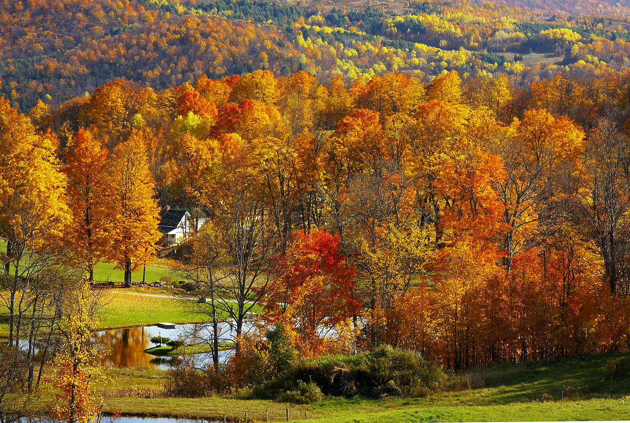 #080379-1 - The Green Mountains in Autumn, Vermont, USA