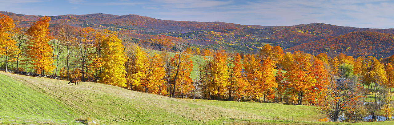 #080380-1 - The Green Mountains in Autumn, Vermont, USA
