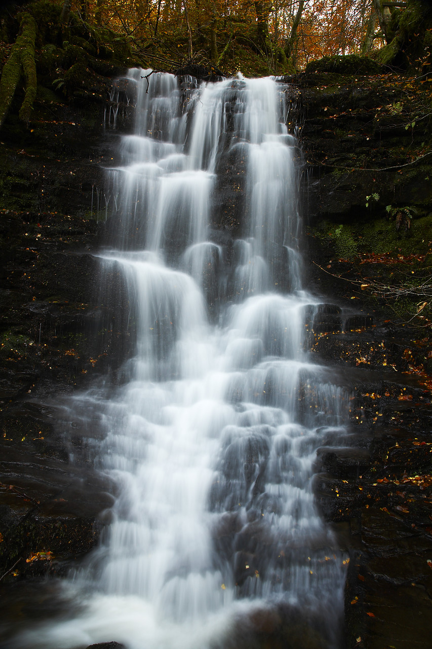 #080464-1 - Cascading Waterfall, Birks of Aberfeldy, Tayside Region, Scotland