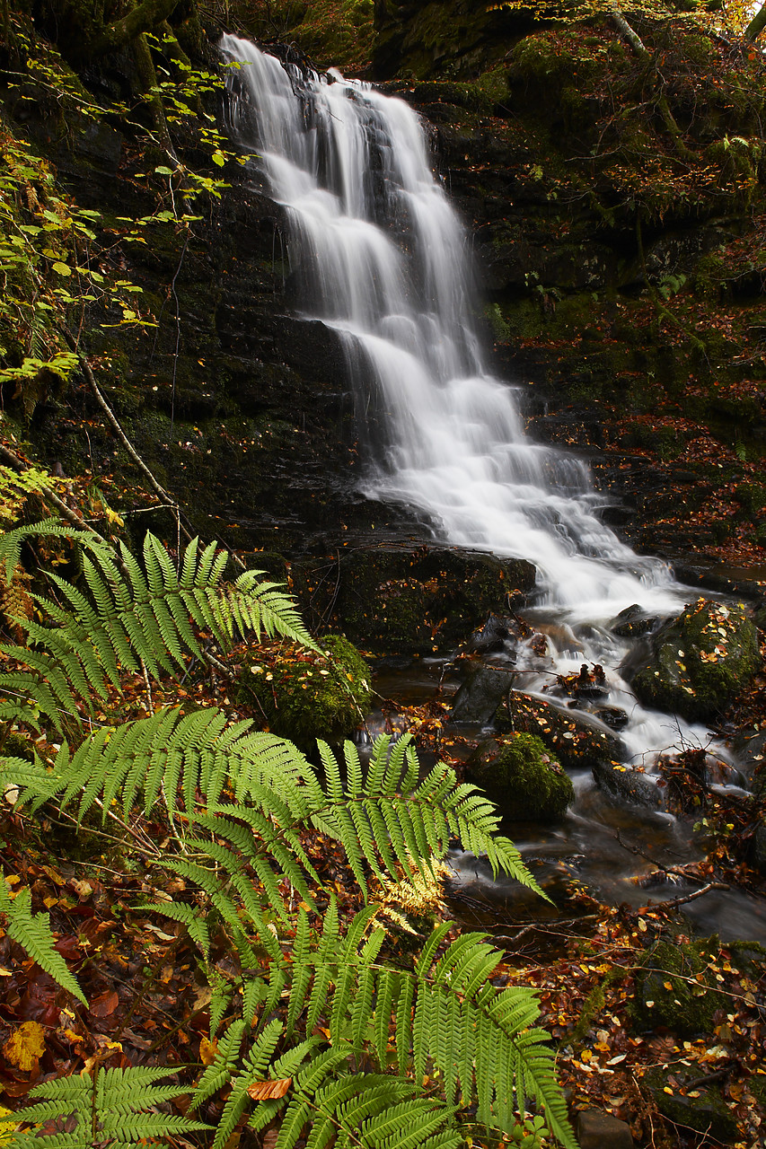 #080467-1 - Cascading Waterfall, Birks of Aberfeldy, Tayside Region, Scotland