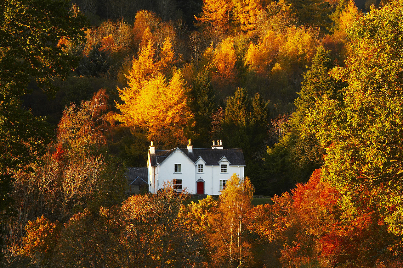 #080471-1 - House in Autumn Woodland, Tayside Region, Perthshire, Scotland