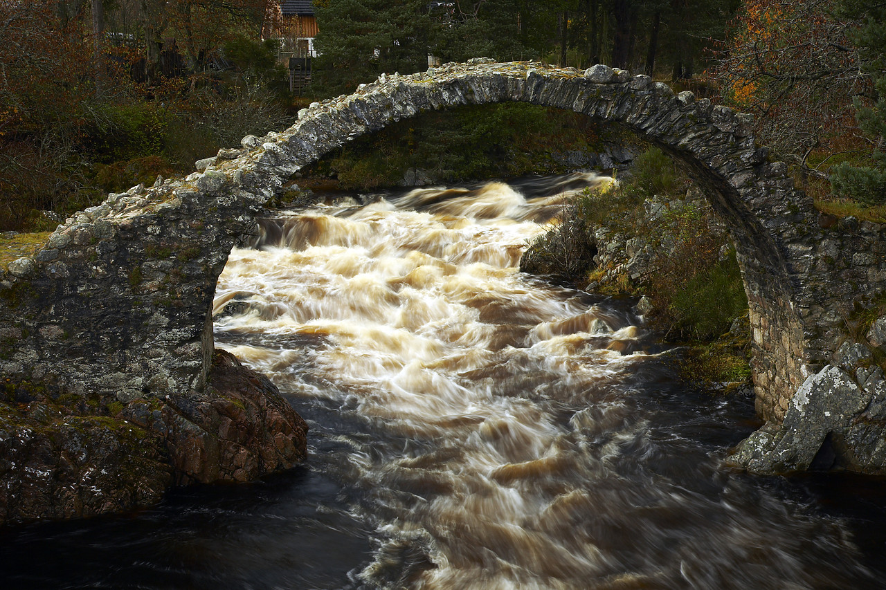 #080478-1 - Carrbridge Packhorse Bridge, near Aviemore, Highland Region, Scotland