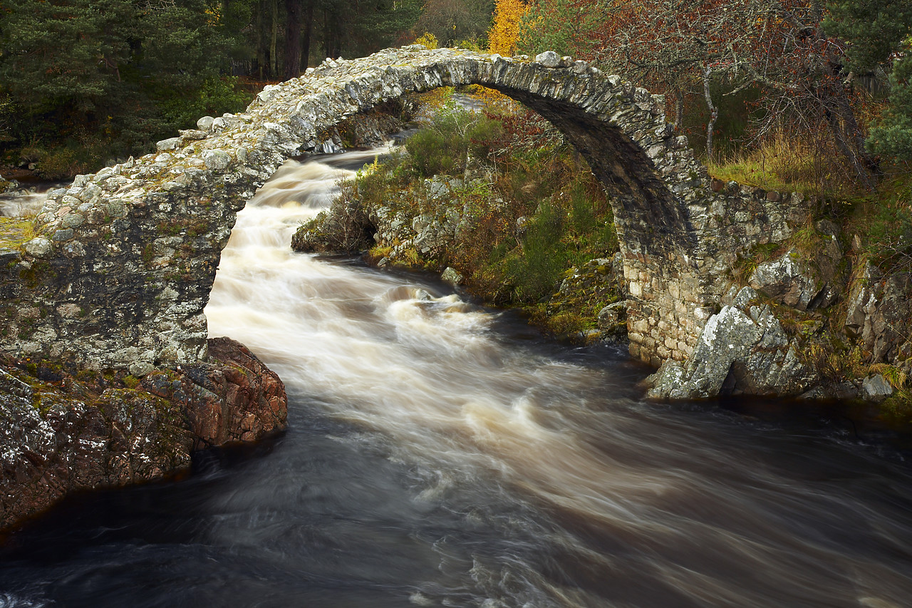 #080479-1 - Carrbridge Packhorse Bridge, near Aviemore, Highland Region, Scotland