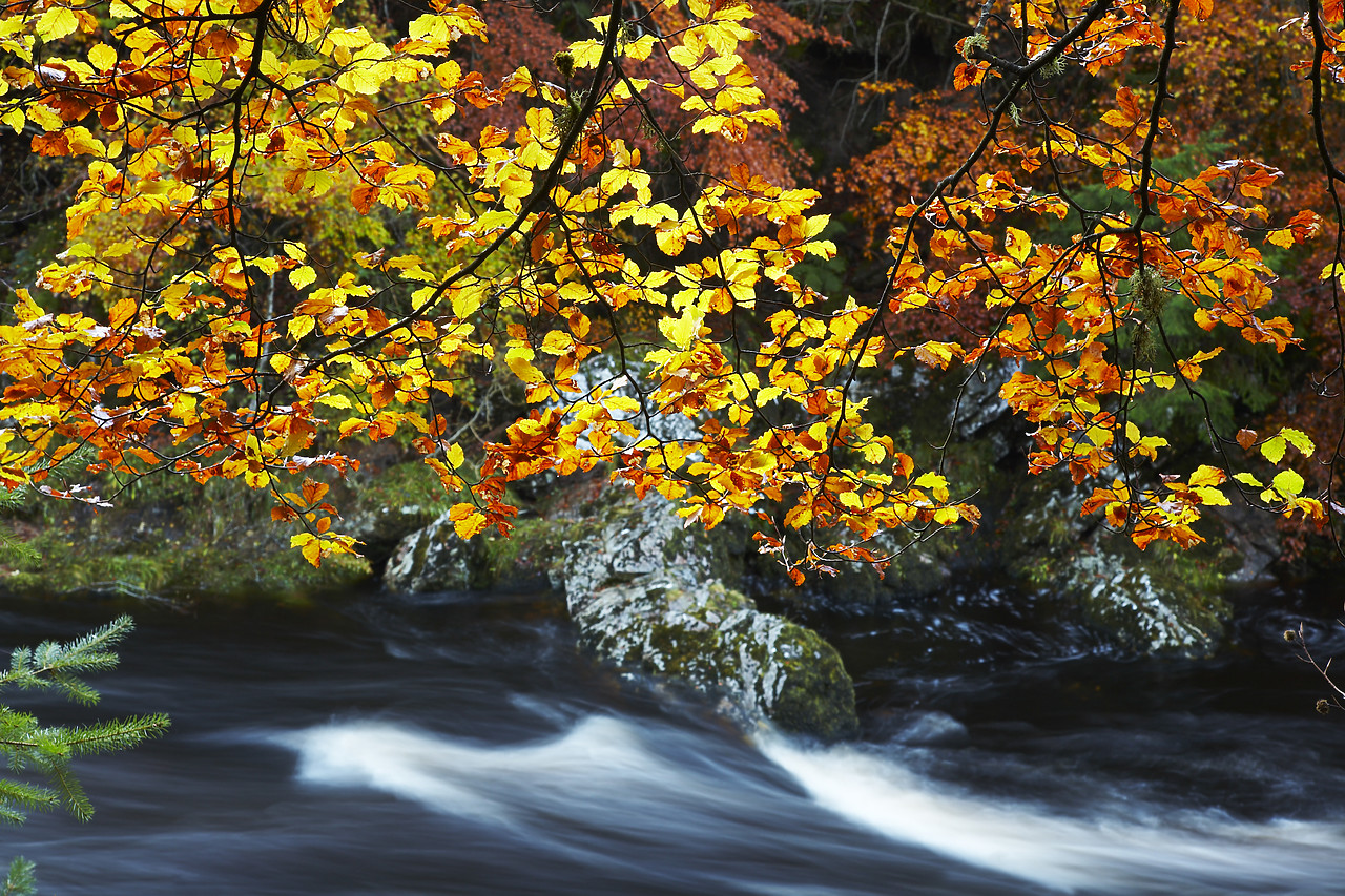 #080483-1 - River Findhorn in Autumn, Highland Region, Scotland