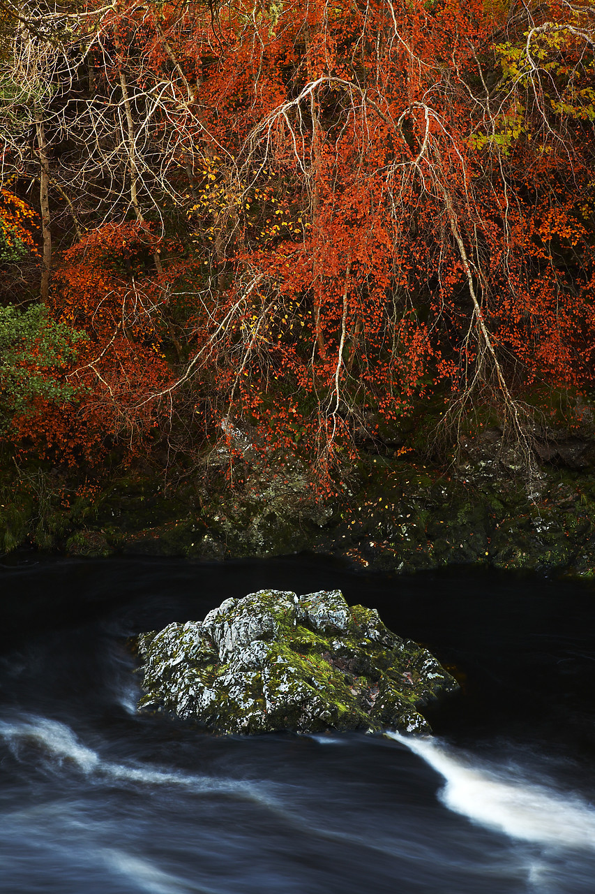 #080484-2 - River Findhorn in Autumn, Highland Region, Scotland