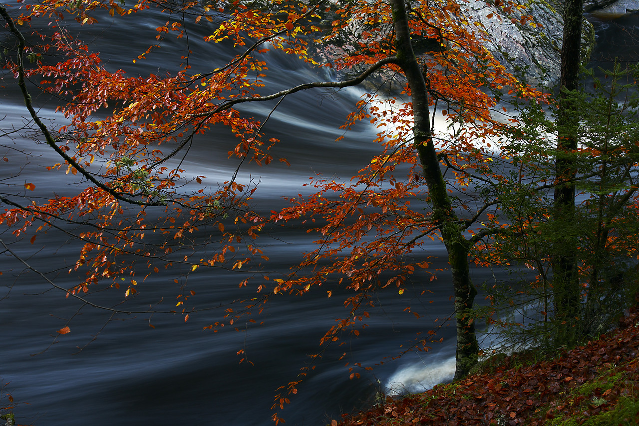 #080485-1 - River Findhorn in Autumn, Highland Region, Scotland