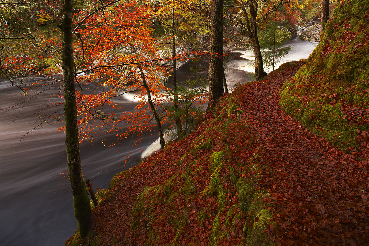 #080486-1 - River Findhorn in Autumn, Highland Region, Scotland