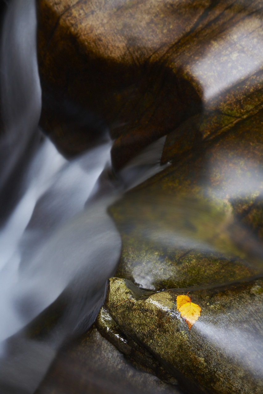 #080490-1 - Birch Leaves on Edge of Waterfall, Glen Bruar, Tayside Region, Perthshire, Scotland