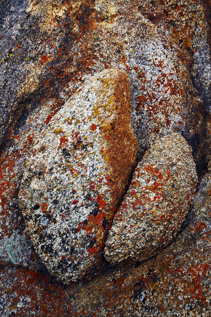 #090069-1 - Lichen-covered Rocks, Alabama Hills, Lone Pine, California, USA