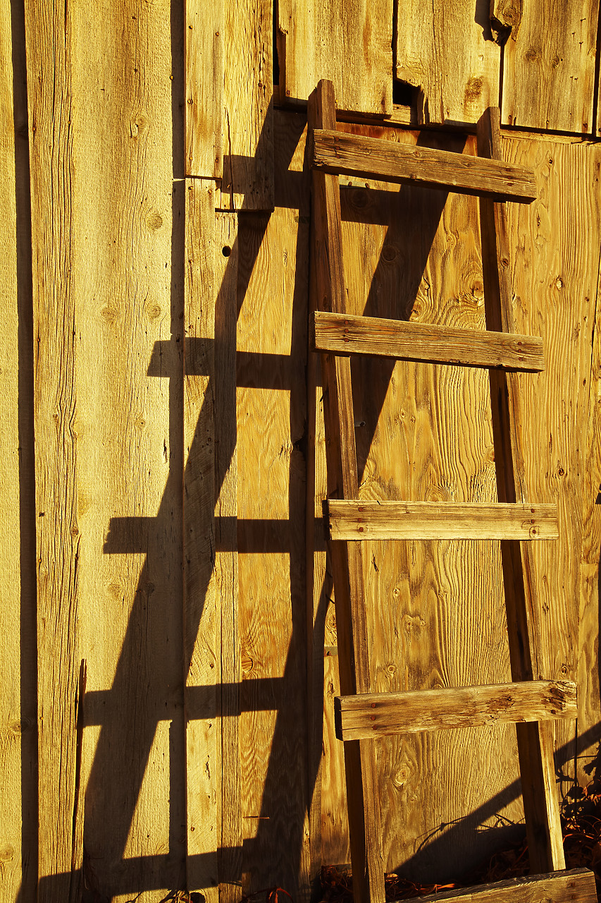 #090076-1 - Ladder Shadows, Keeler, Owens Valley, California, USA