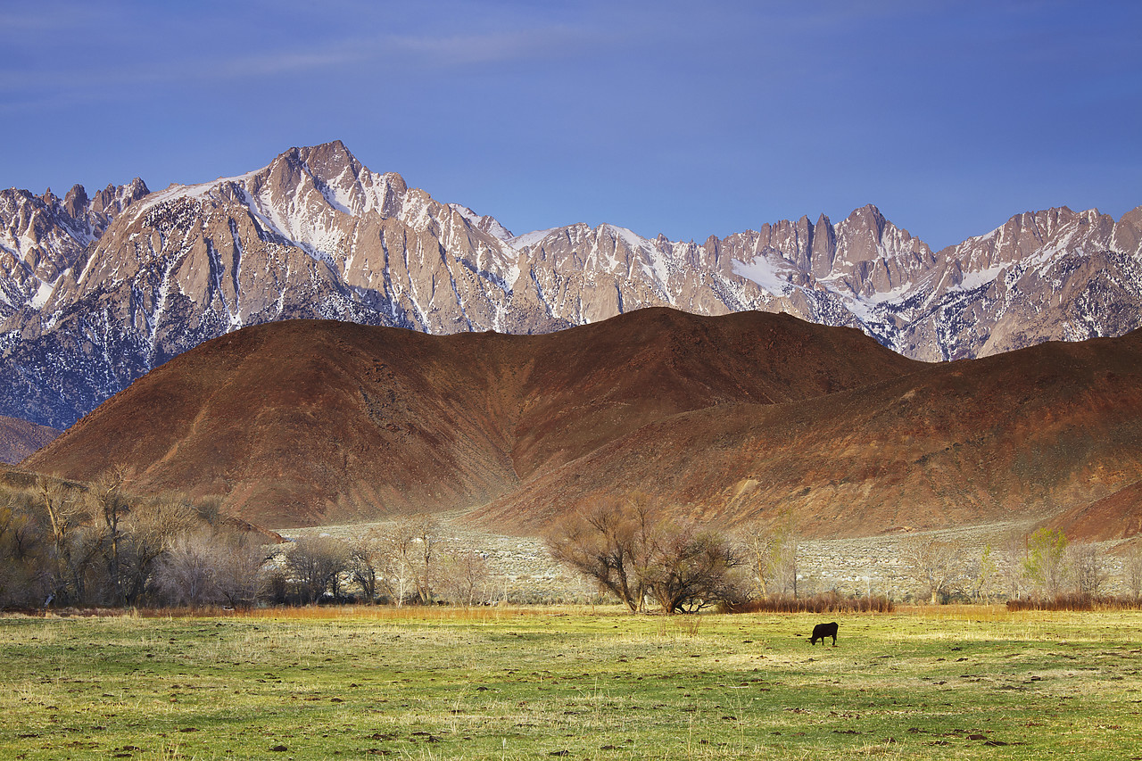 #090077-1 - Mt. Whitney & Alabama Hills, Eastern Sierras, Lone Pine, California, USA