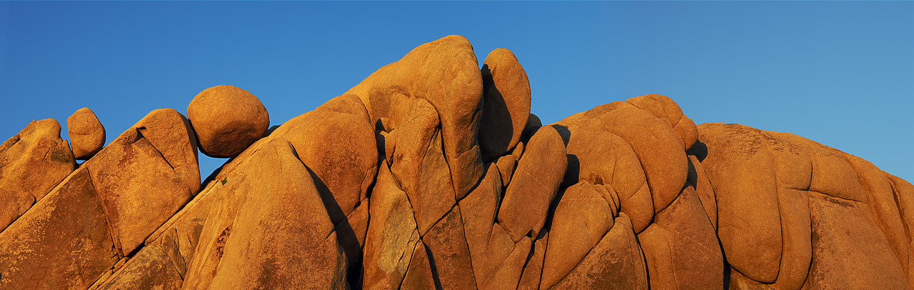 #090086-2 - Jumbo Rocks, Joshua Tree National Park, California, USA