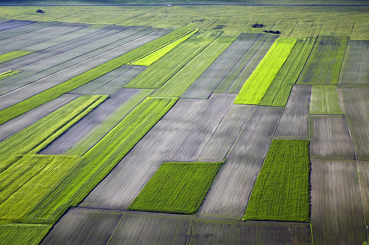 #090105-1 - Patchwork Farmland, Piano Grande, Umbria, Italy