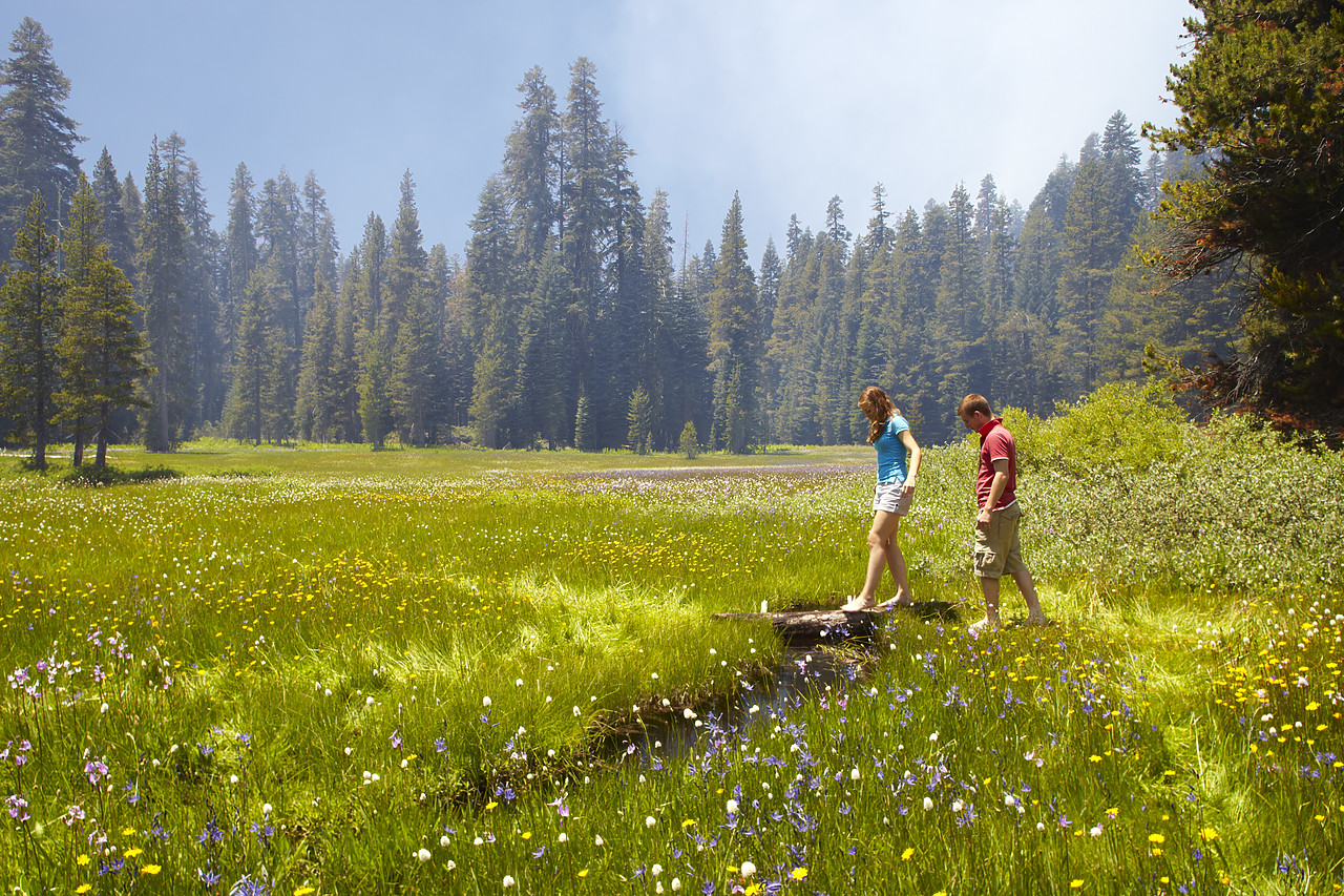 #090147-2 - Couple in Wildflower Meadow, Yosemite National Park, California, USA