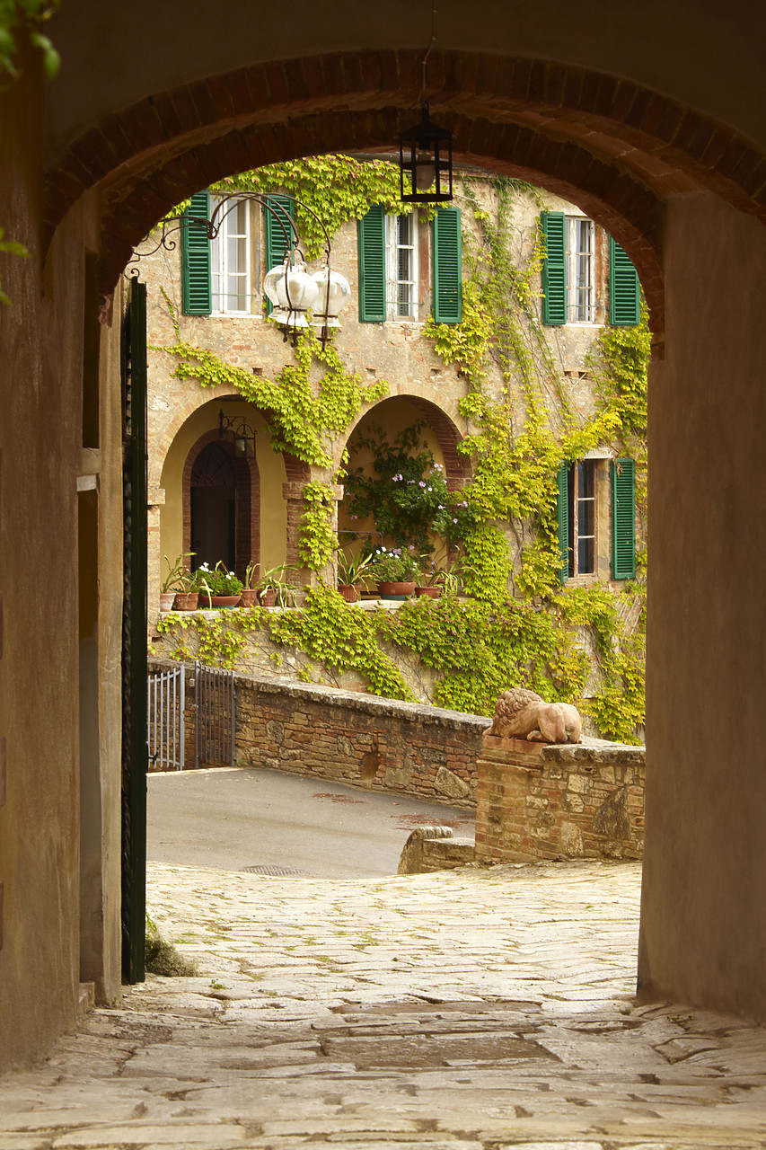 #090194-1 - Archway, Lucignano d'Asso, Tuscany, Italy
