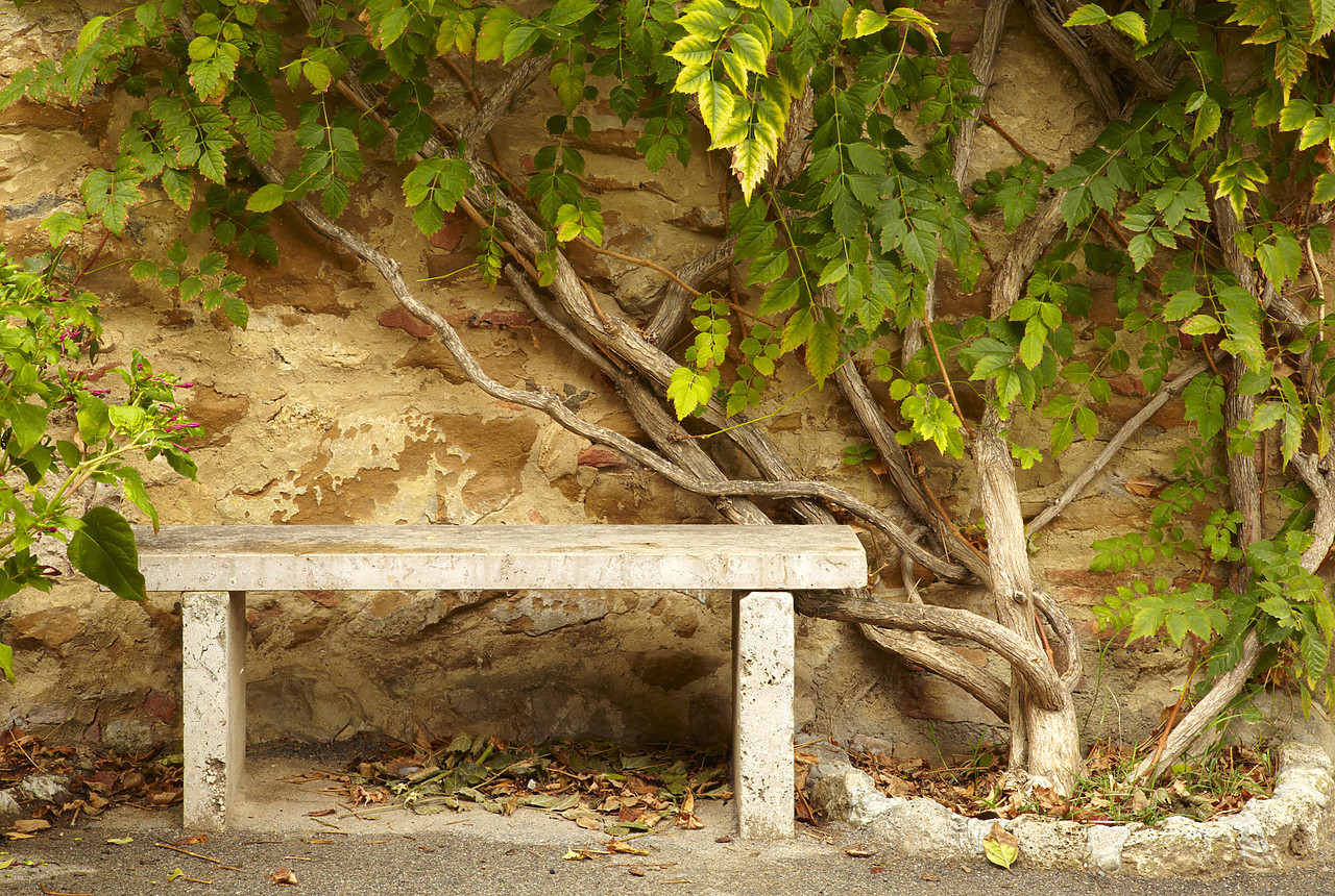 #090198-1 - Stone Bench, Lucignano d'Asso, Tuscany, Italy