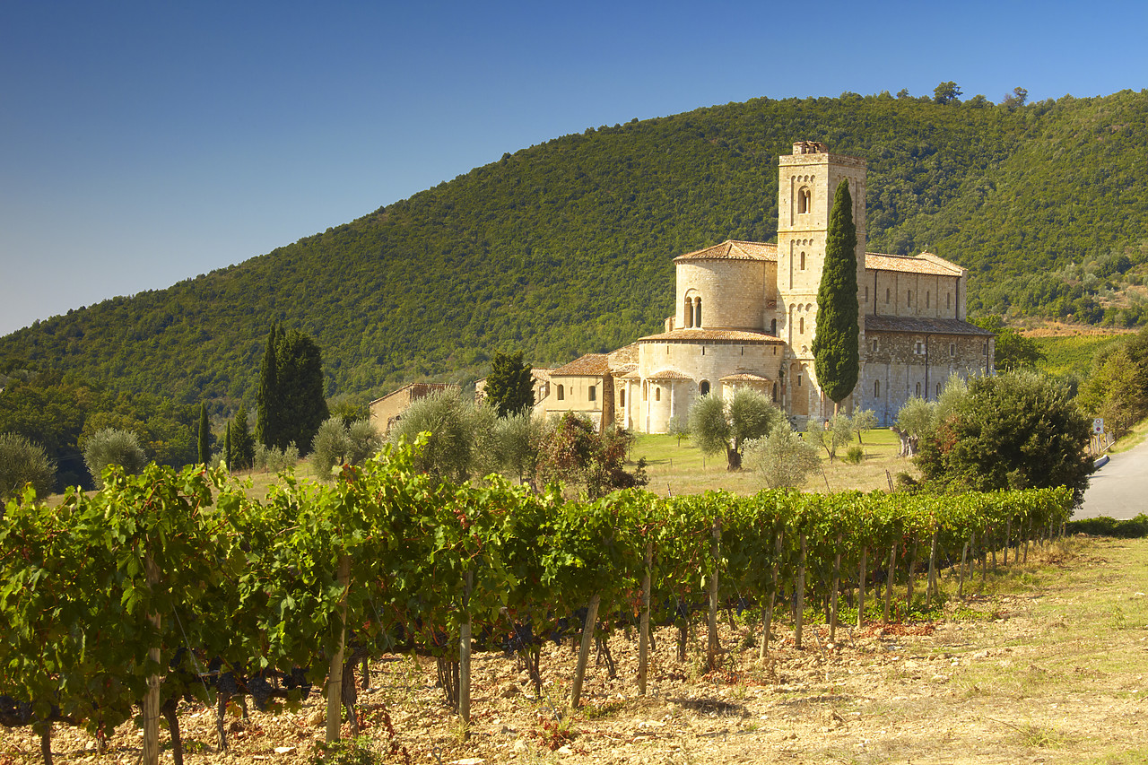 #090212-1 - San Antimo Abbey, Tuscany, Italy