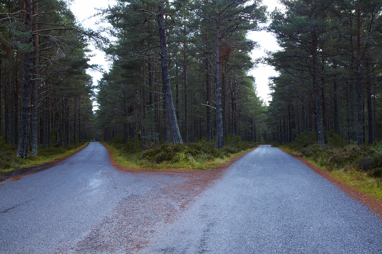 #090257-1 - Two Roads Going in Different Directions, Highland Region, Scotland