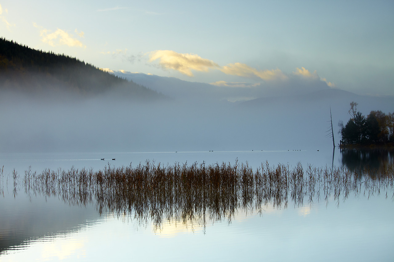 #090260-1 - Mist over Loch Pityoulish, Highland Region, Scotland