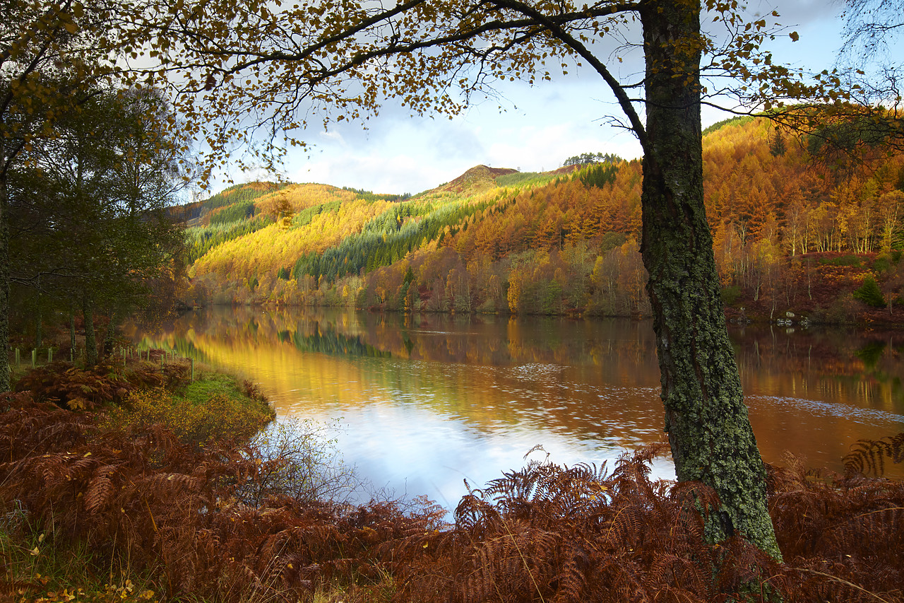#090262-1 - Loch Tummel Reflections, Tayside Region, Scotland