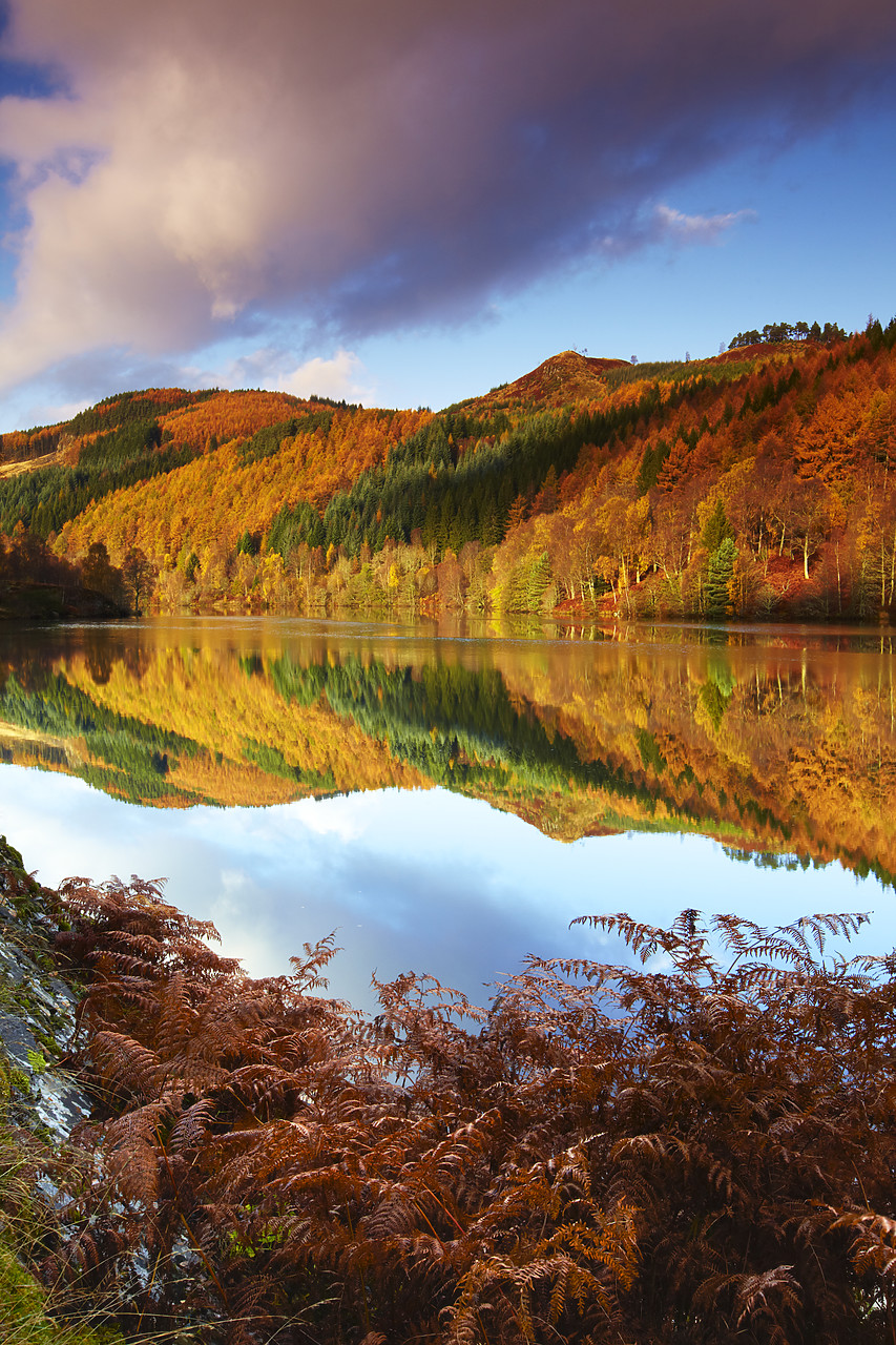 #090264-1 - Loch Tummel Reflections, Tayside Region, Scotland