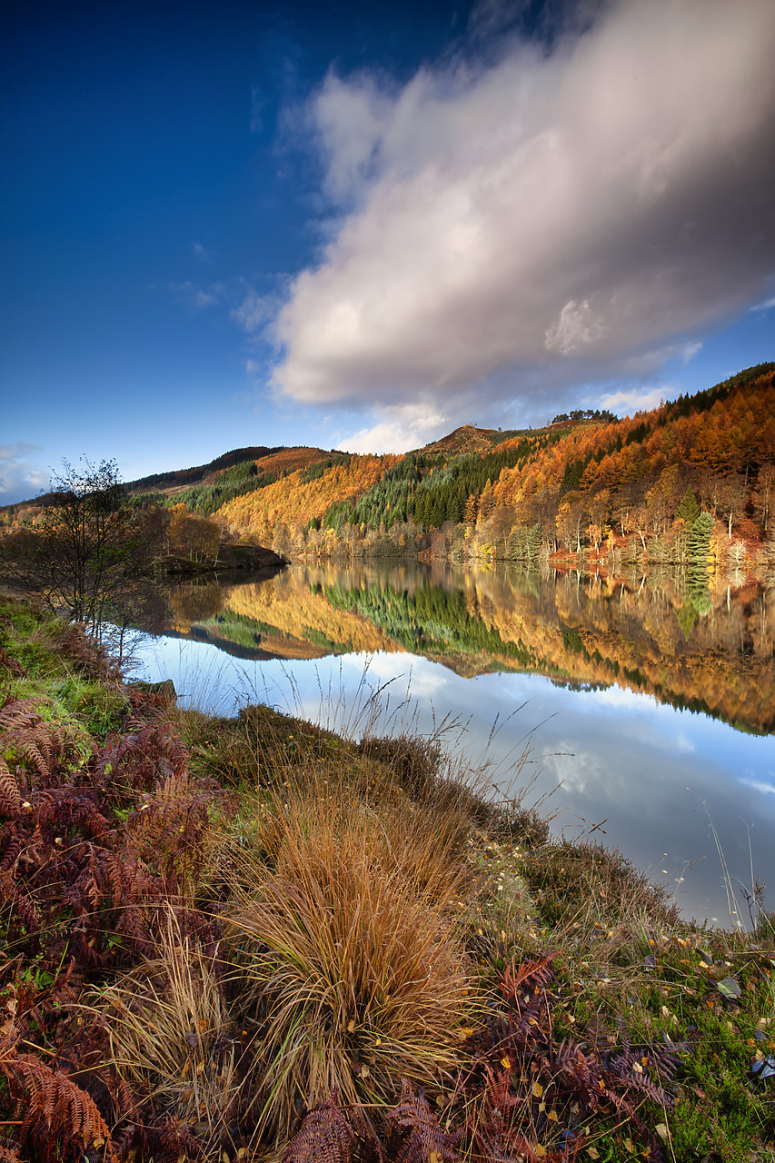 #090265-1 - Loch Tummel in Autumn, Tayside Region, Scotland