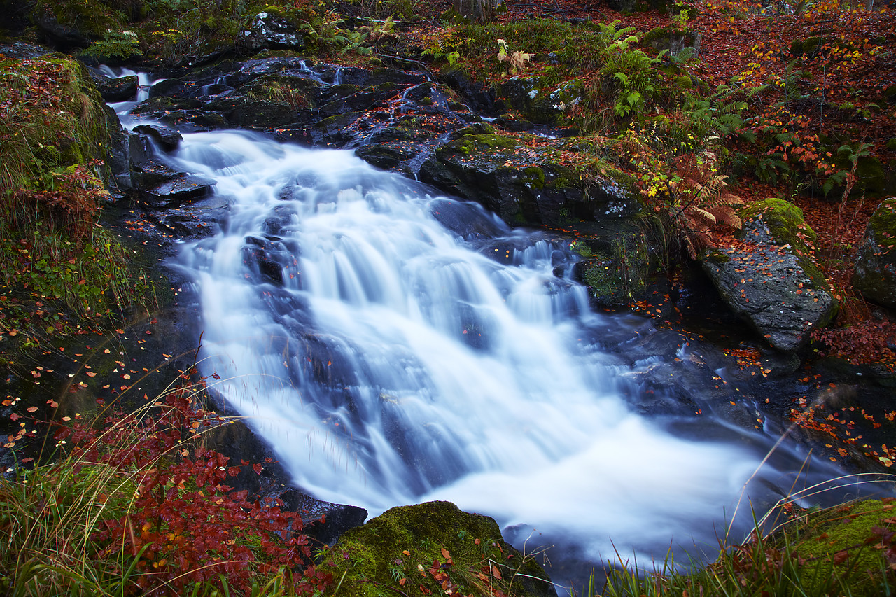 #090269-1 - Waterfall in Autumn, Tayside Region, Scotland