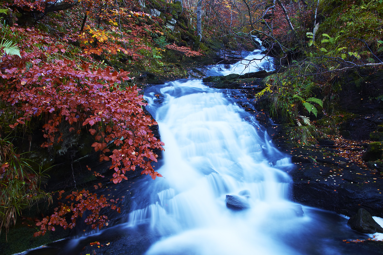 #090270-1 - Waterfall in Autumn, Tayside Region, Scotland