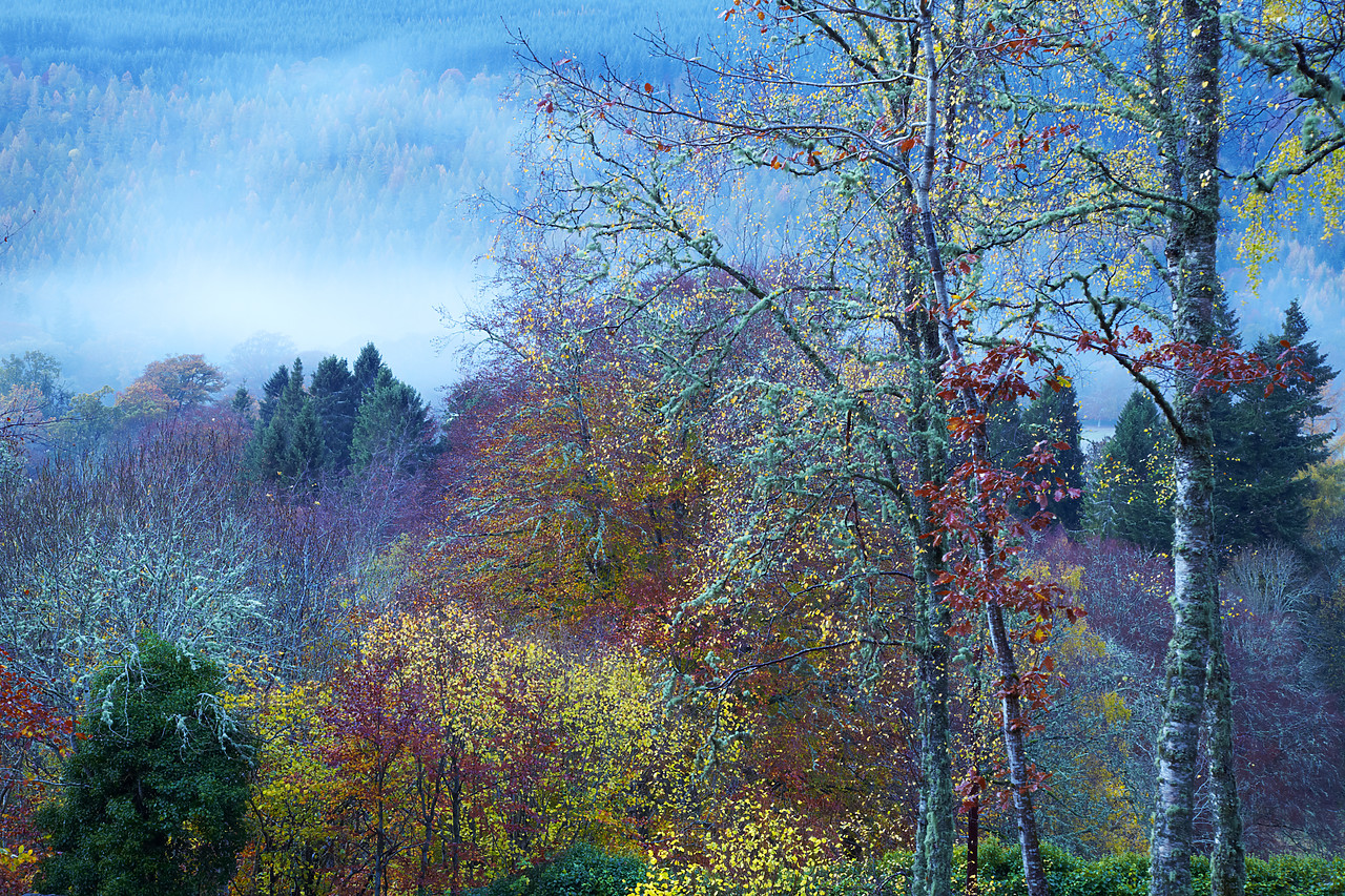 #090272-1 - Autumn Mist in Tay Valley, Tayside Region, Scotland