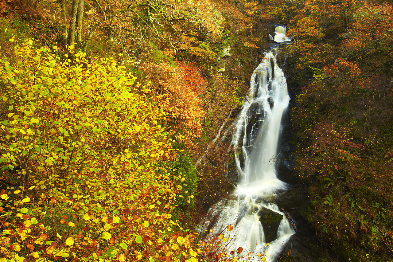 #090274-1 - Black Spout Waterfall in Autumn, Pitlochry, Tayside Region, Scotland