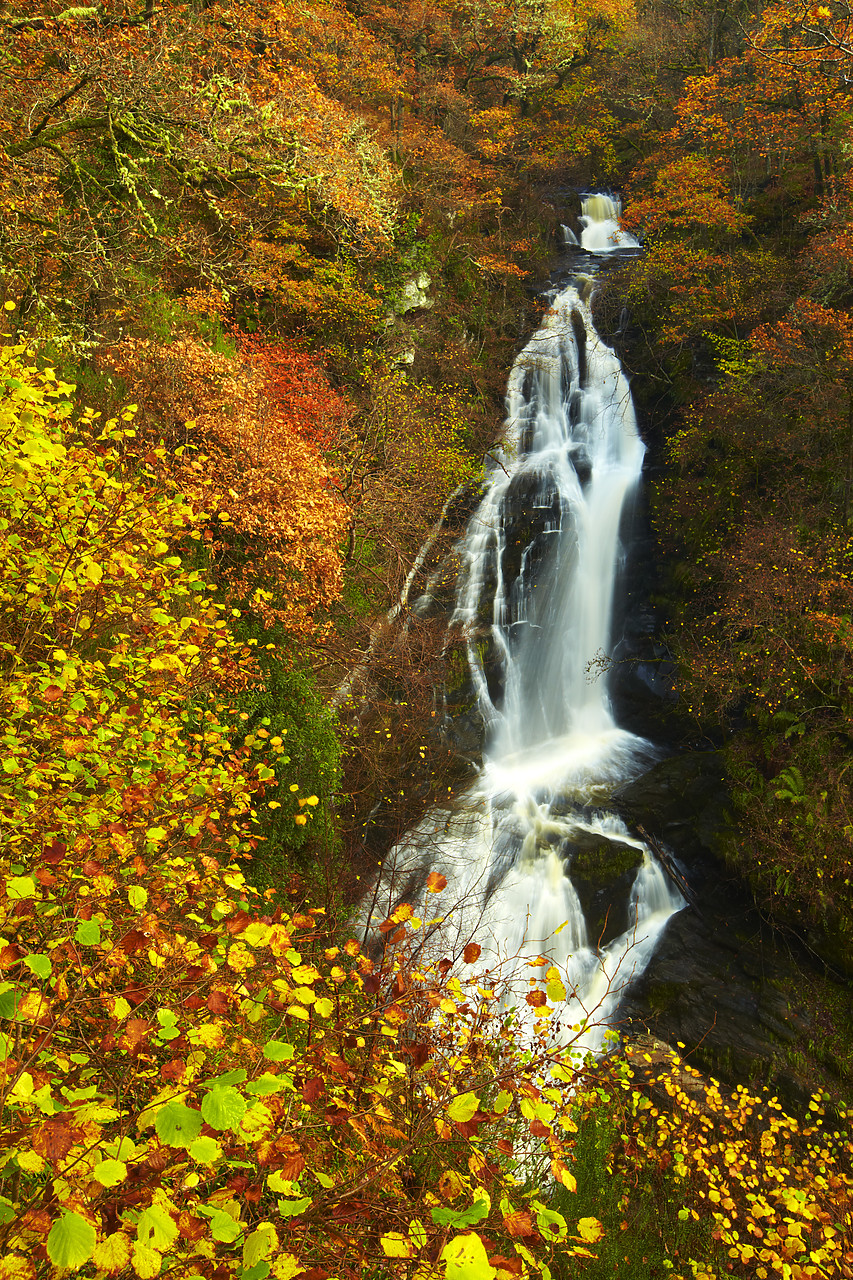 #090274-2 - Black Spout Waterfall in Autumn, Pitlochry, Tayside Region, Scotland