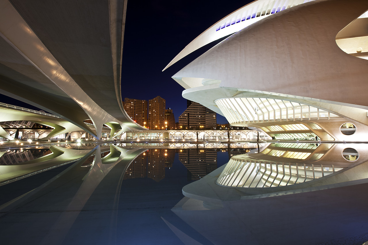 #100025-1 - Palau de les Artes Reina Sofia Opera House, City of Arts & Sciences, Valencia, Spain