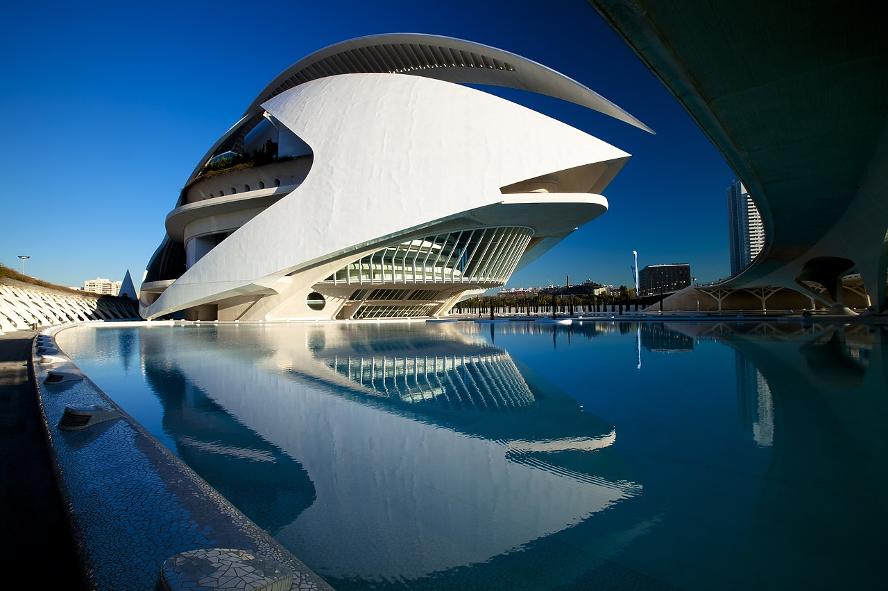 #100026-1 - Palau de les Artes Reina Sofia Opera House, City of Arts & Sciences, Valencia, Spain
