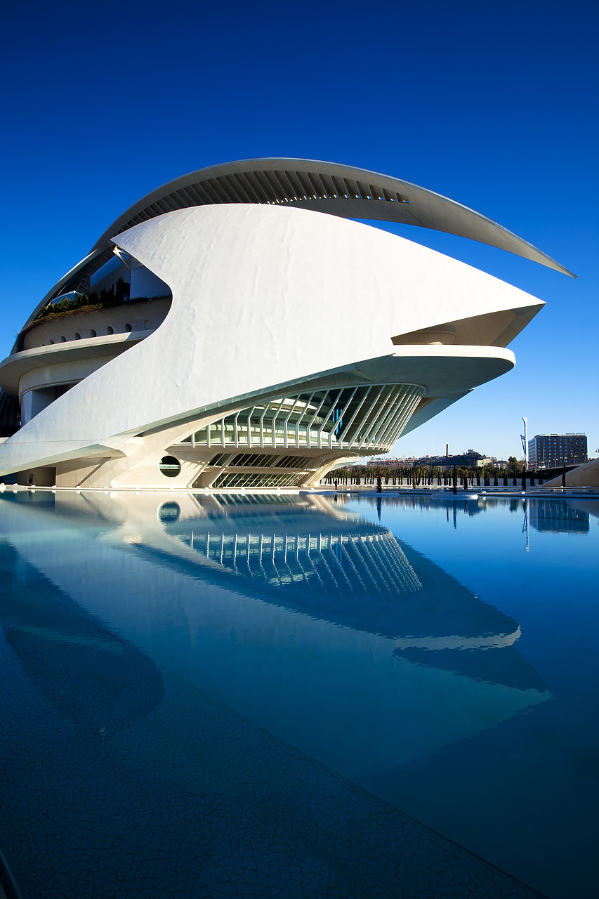 #100026-2 - Palau de les Artes Reina Sofia Opera House, City of Arts & Sciences, Valencia, Spain