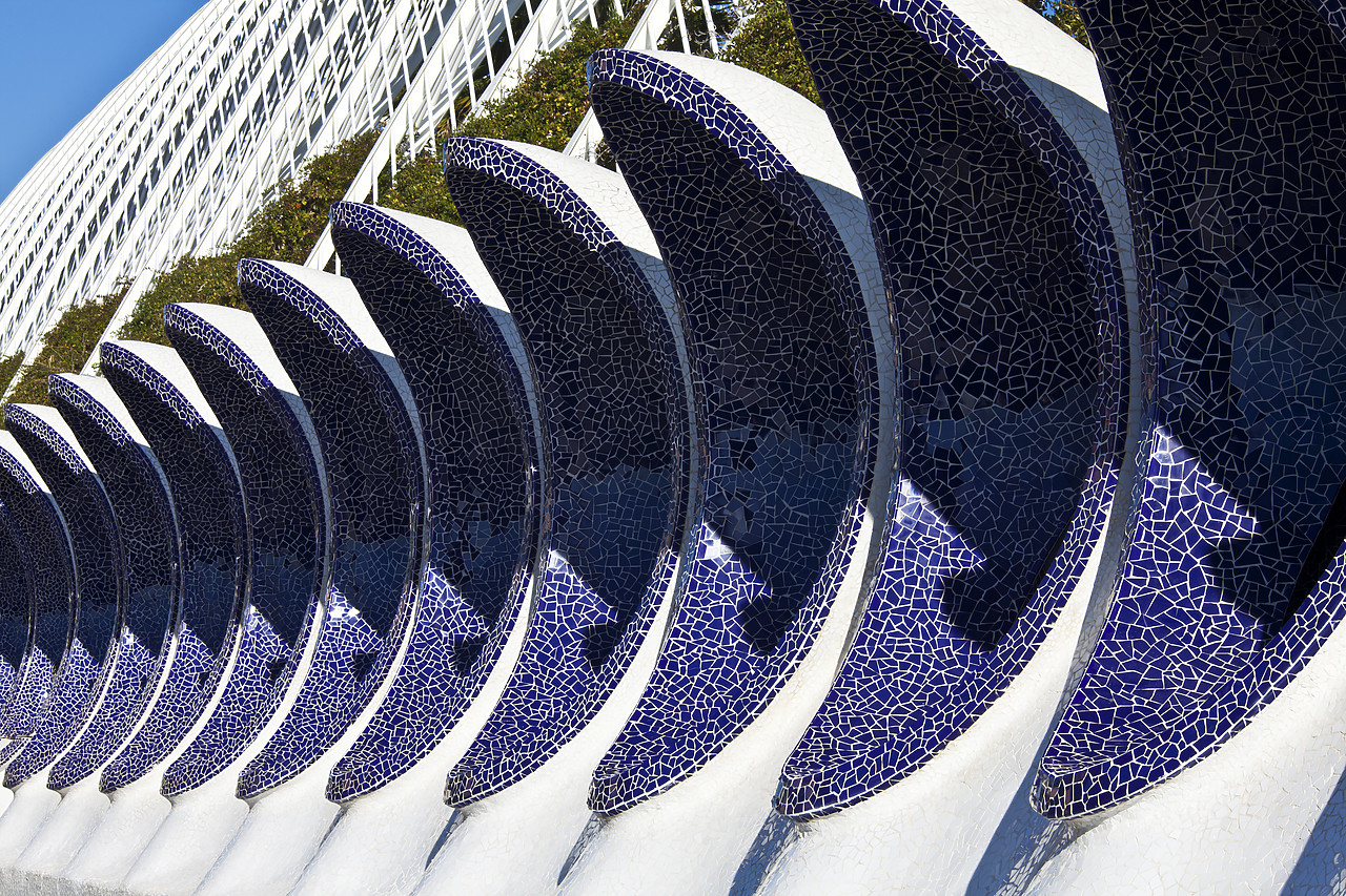 #100031-1 - Abstract Patterns, City of Arts & Sciences, Valencia, Spain
