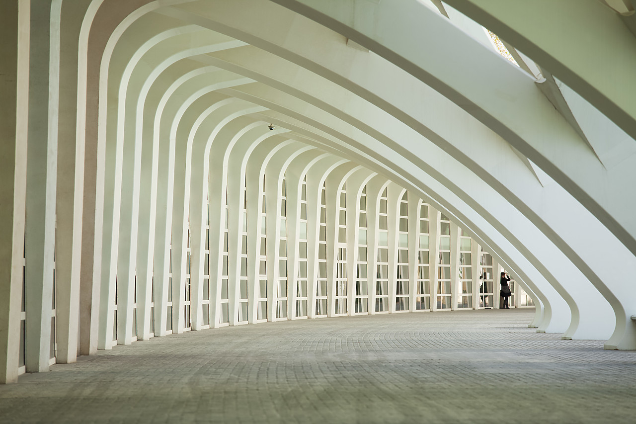 #100041-1 - Building Patterns, City of Arts & Sciences, Valencia, Spain