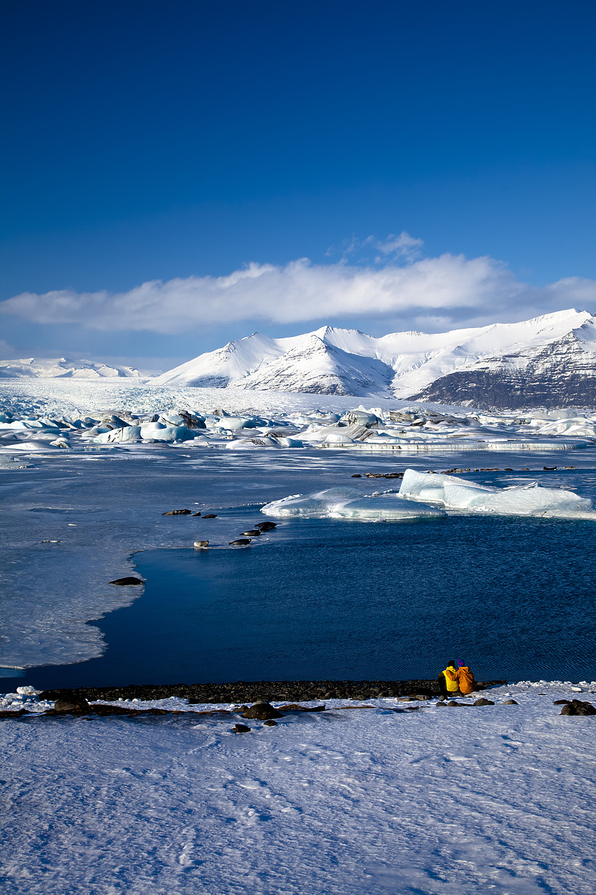 #100076-1 - Couple Watching Common Seals at Jškuls‡rl—n Iceberg Lagoon, Iceland