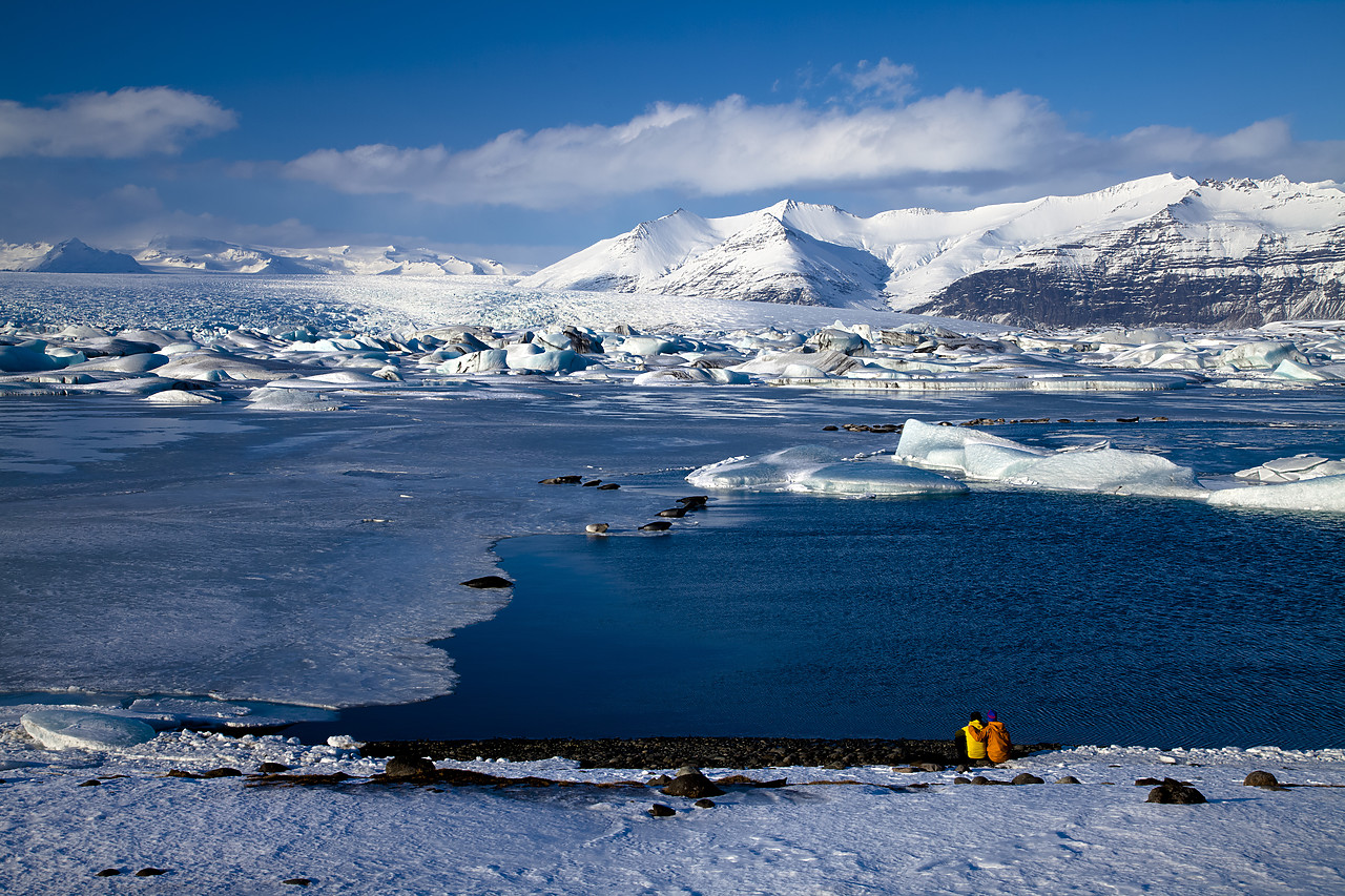 #100077-1 - Couple Watching Common Seals at Jškuls‡rl—n Iceberg Lagoon, Iceland