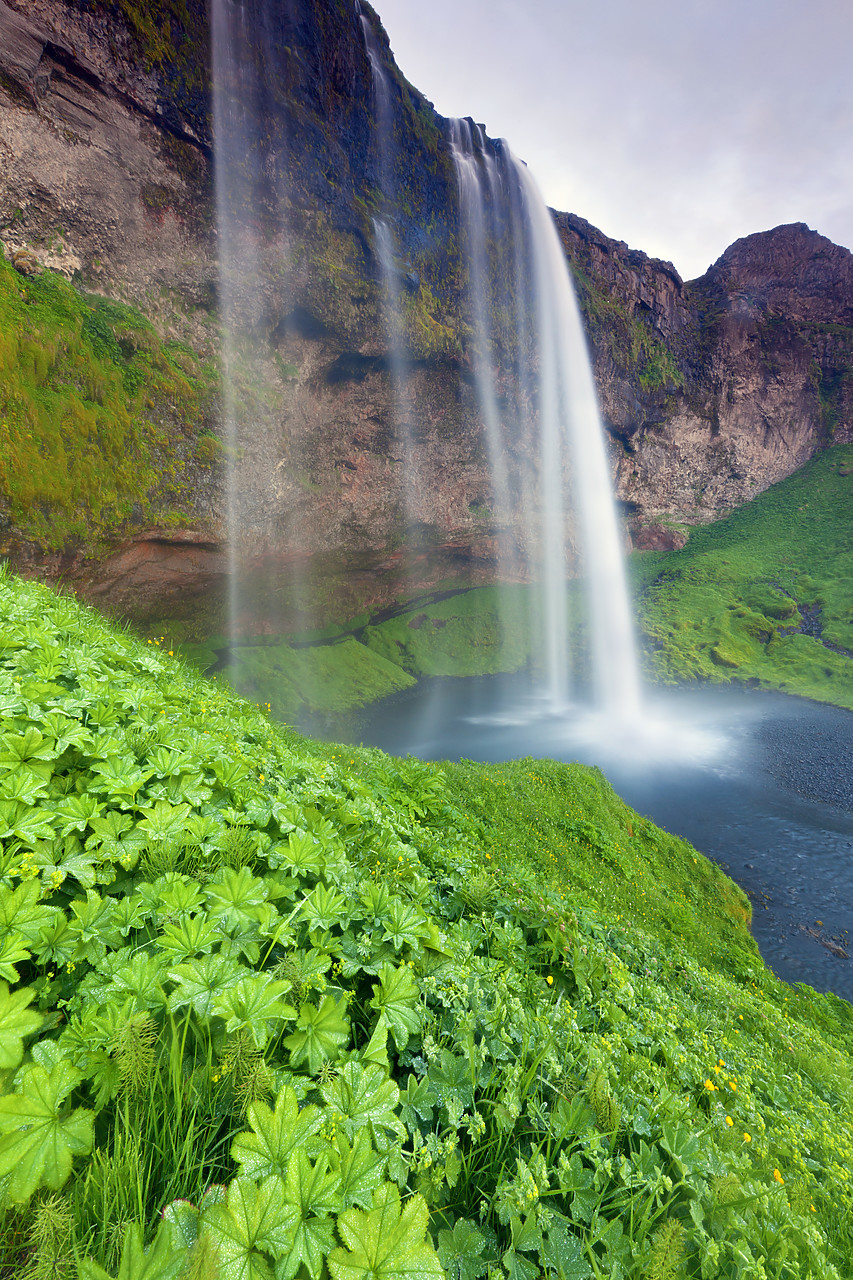 #100247-1 - Seljalandsfoss Waterfall, Iceland